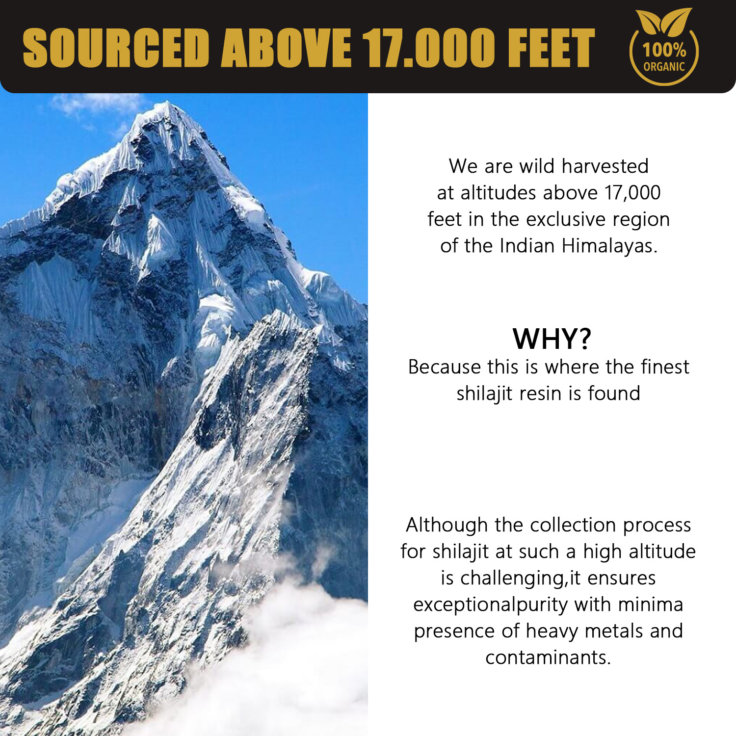 Pure Himalayan Shilajit Resin — 30g Mineral Complex